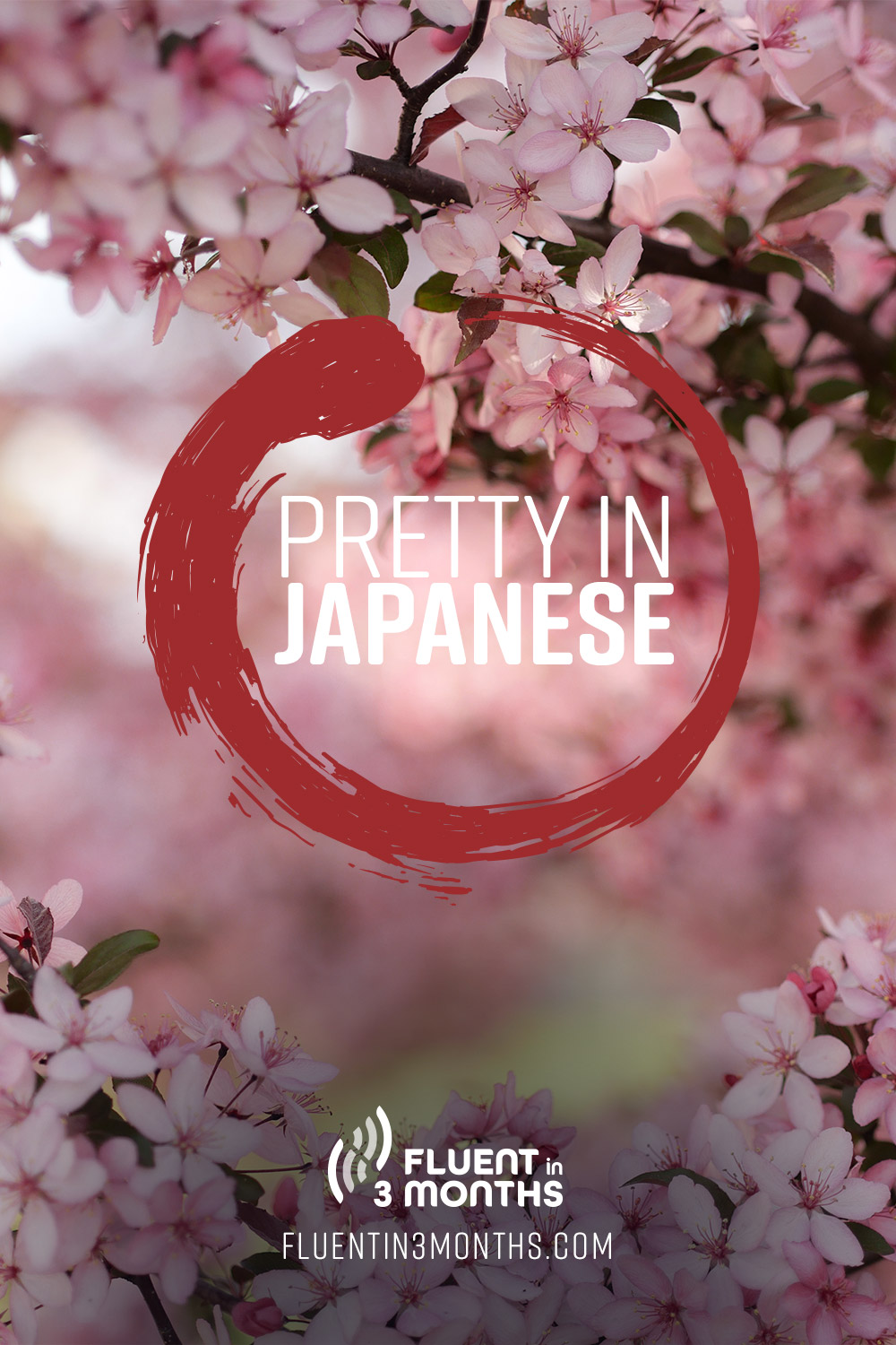  Pretty In Japanese How To Give A Compliment In Japanese